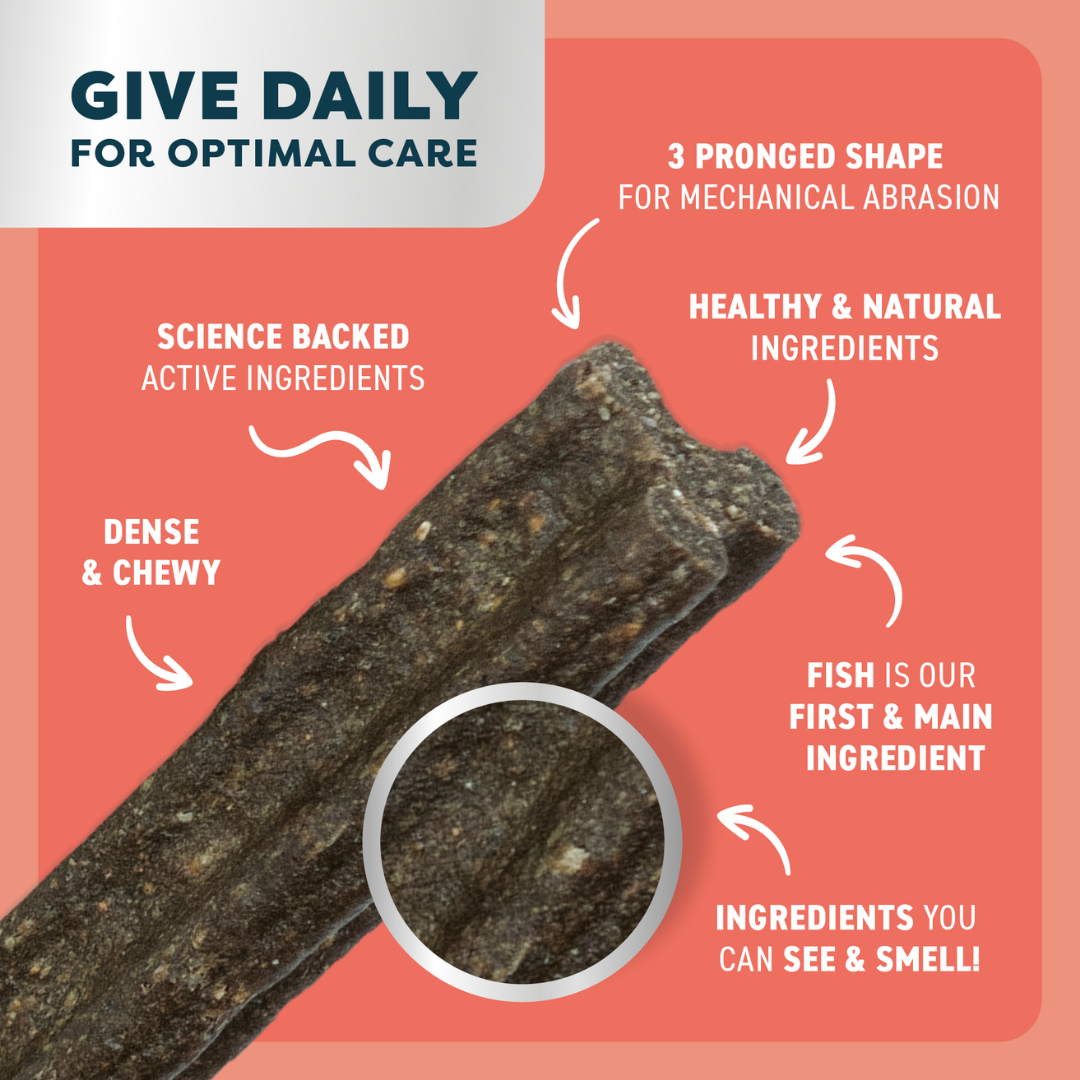 Bell & Bone Adult Dental Sticks - Salmon, Mint and Charcoal