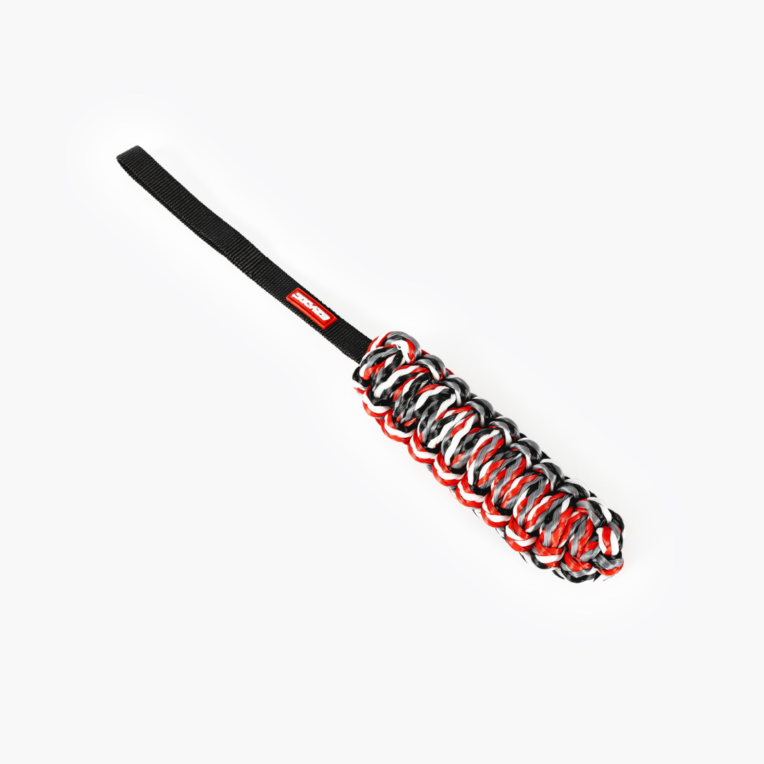 EZYDOG Beaver Tail Dog Toy