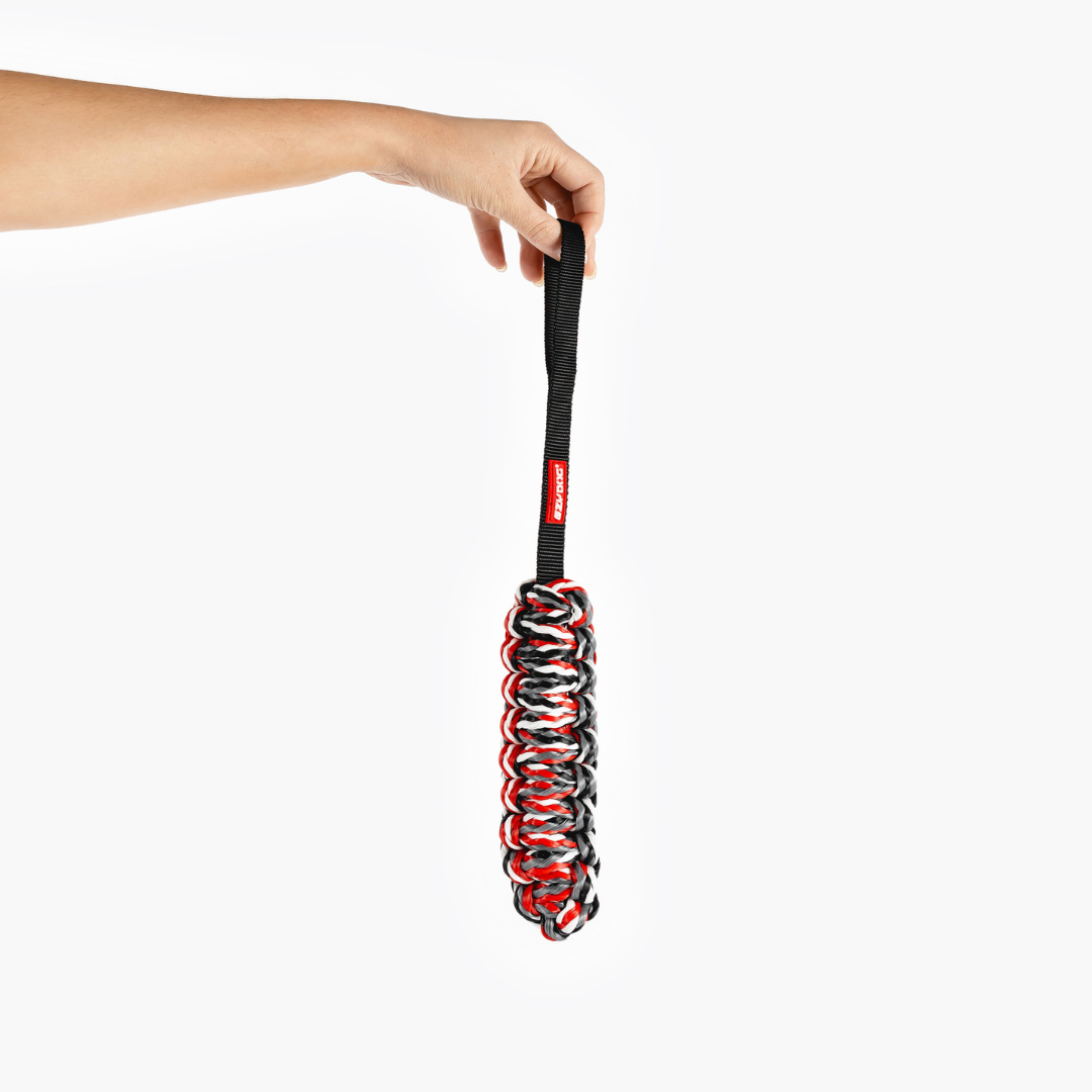 EZYDOG Beaver Tail Dog Toy