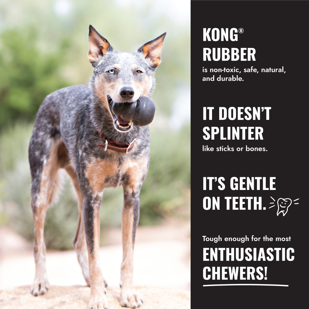 KONG Extreme Black Toy