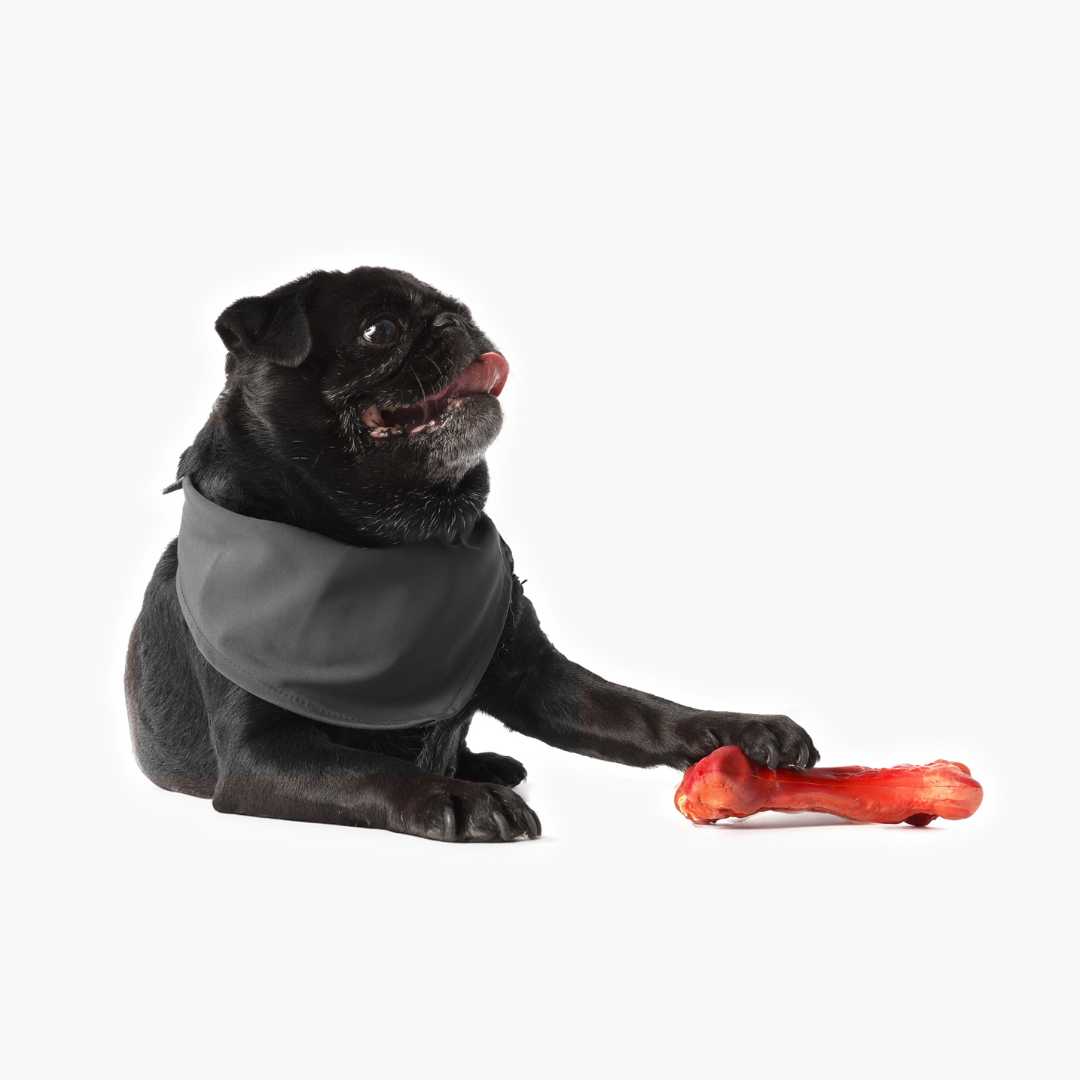 EZYDOG EzyBones Dog Chew Toy