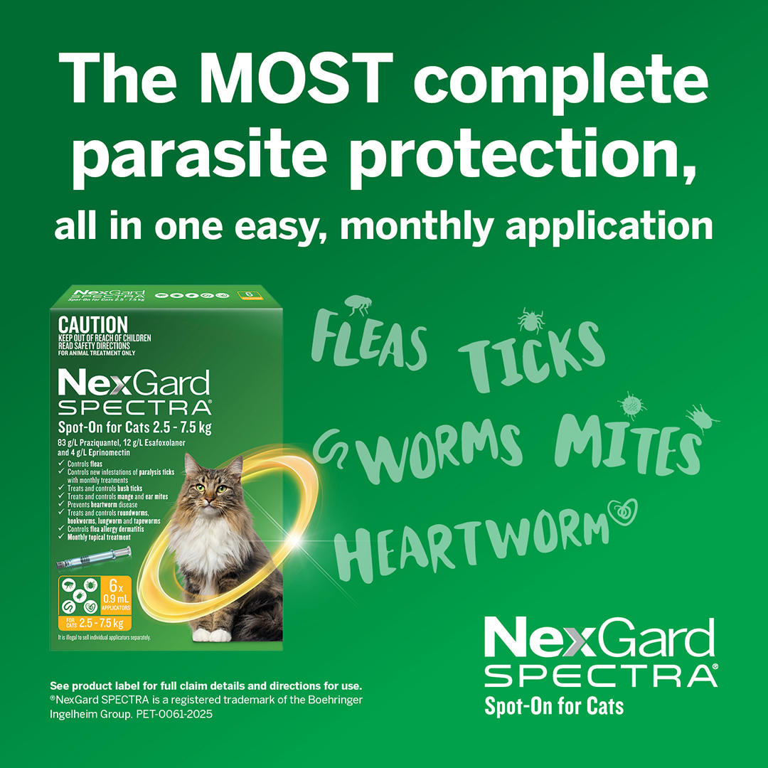 Nexgard Spectra Spot On For Small Cats & Kittens