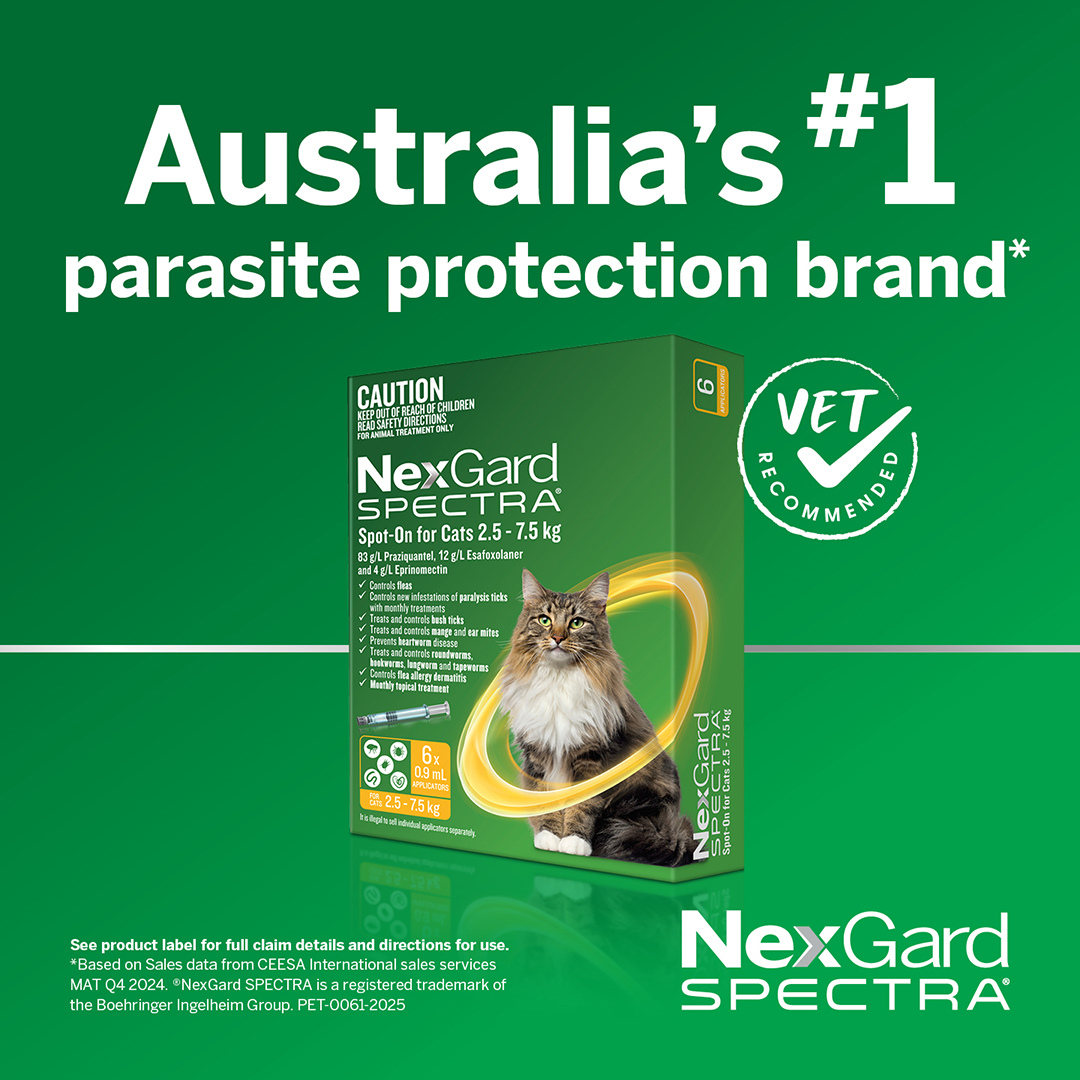 Nexgard Spectra Spot On For Large Cats