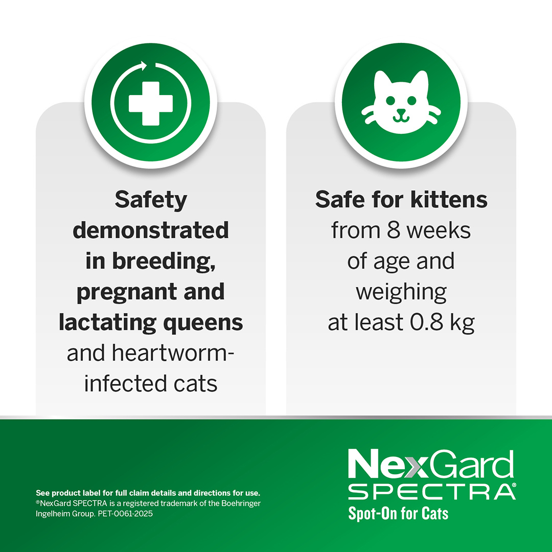 Nexgard Spectra Spot On For Small Cats & Kittens