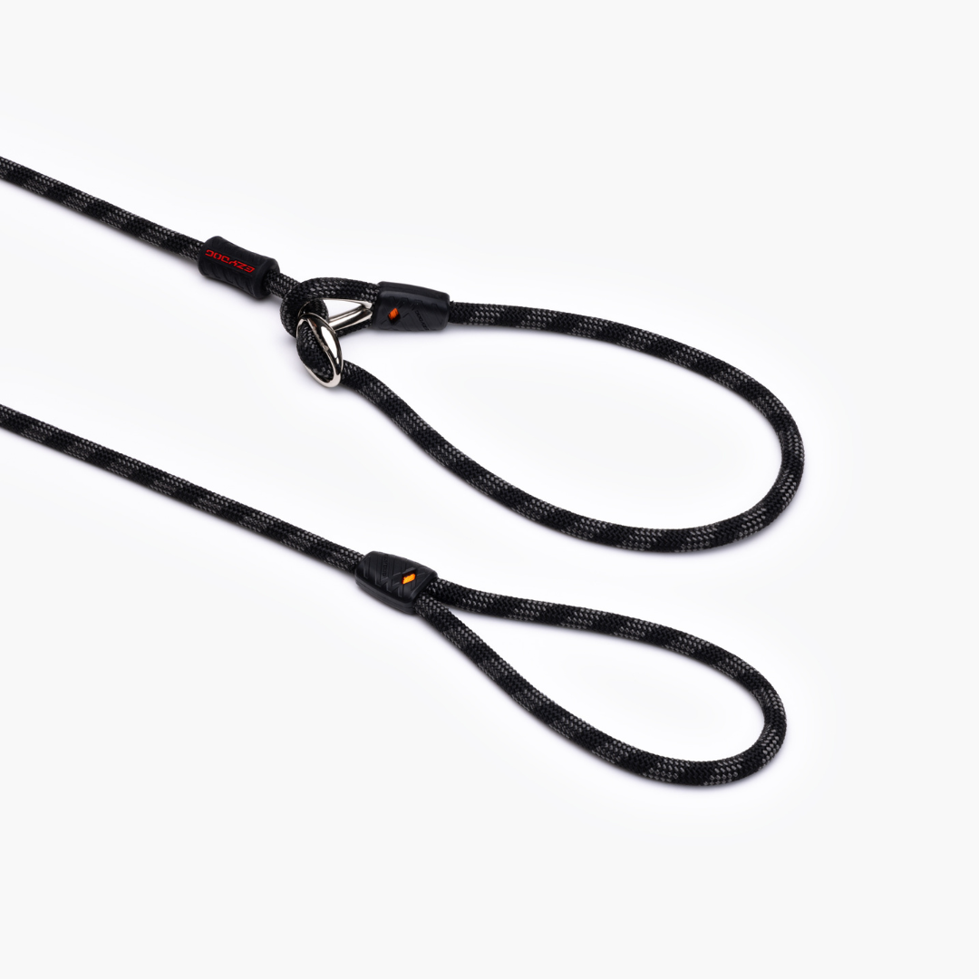 EZYDOG Luca Leash