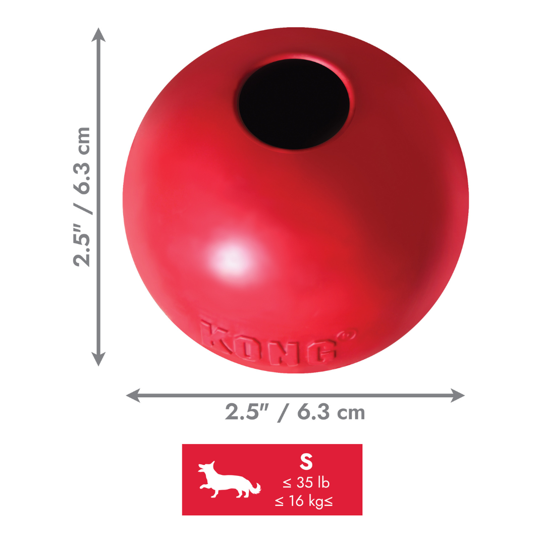 KONG Ball Dog Toy