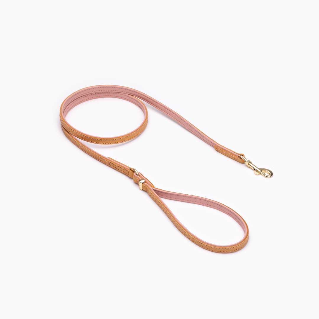 EZYDOG Oxford Leather Dog Leash Lite