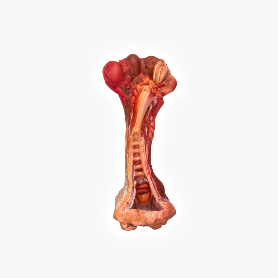 EZYDOG EzyBones Dog Chew Toy