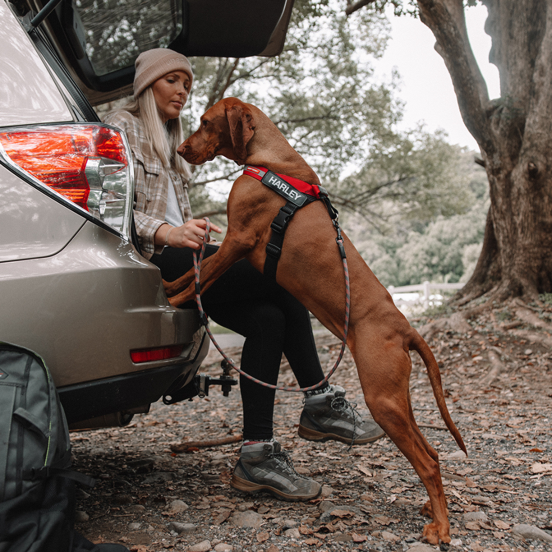 EZYDOG Summit Leash