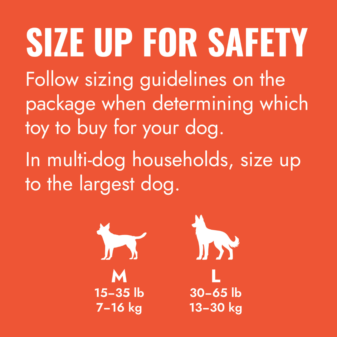 KONG Aqua Dog Toy