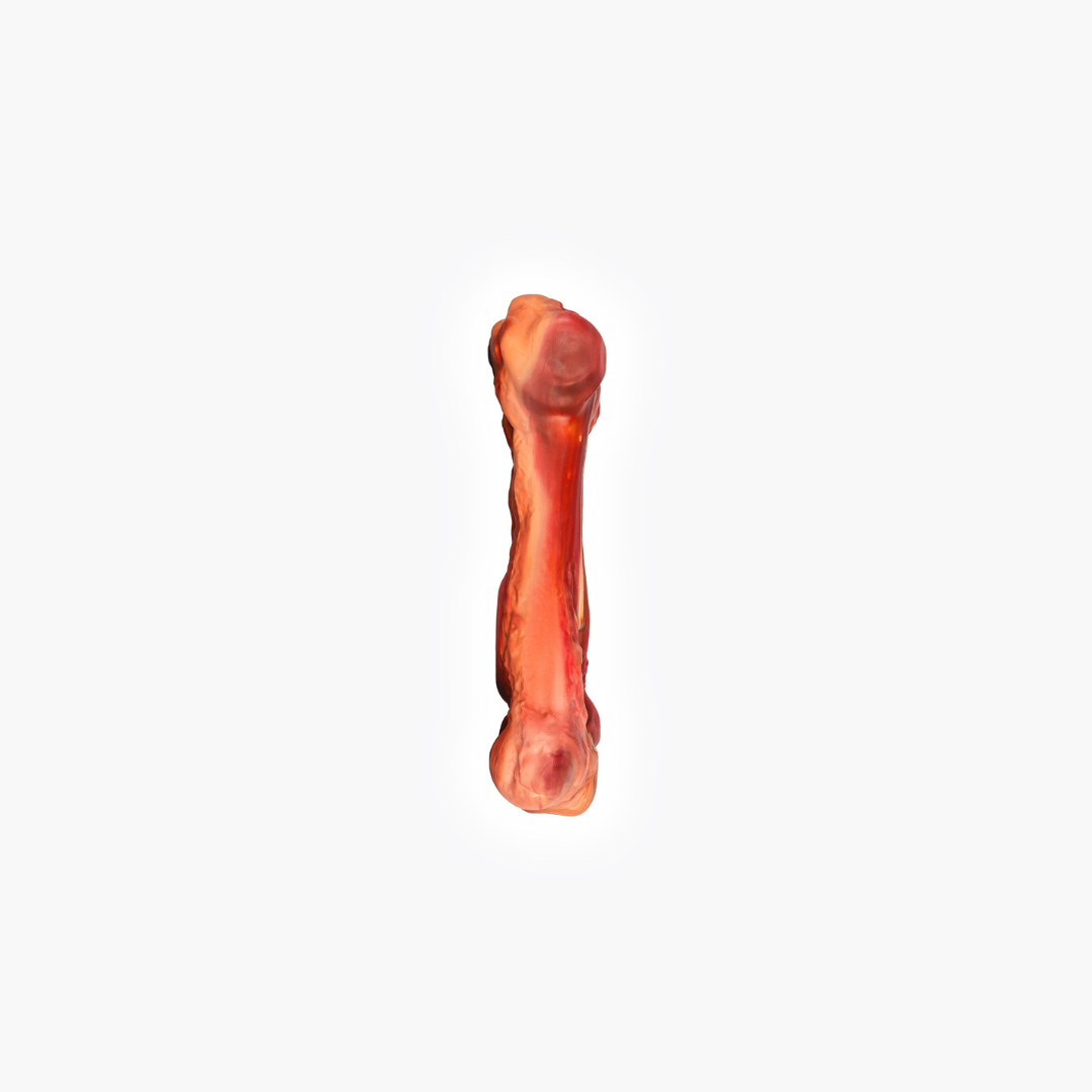EZYDOG EzyBones Dog Chew Toy