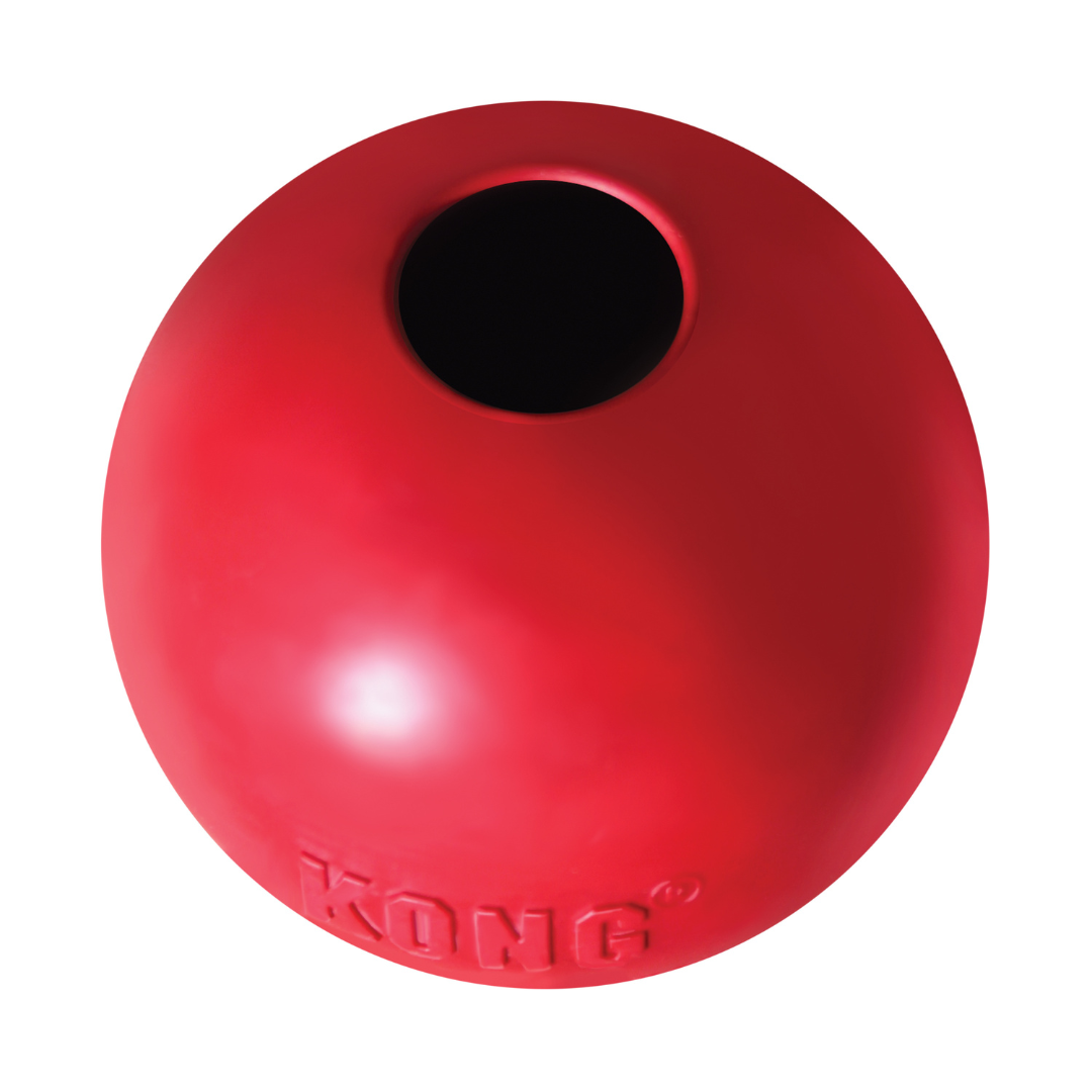 KONG Ball Dog Toy