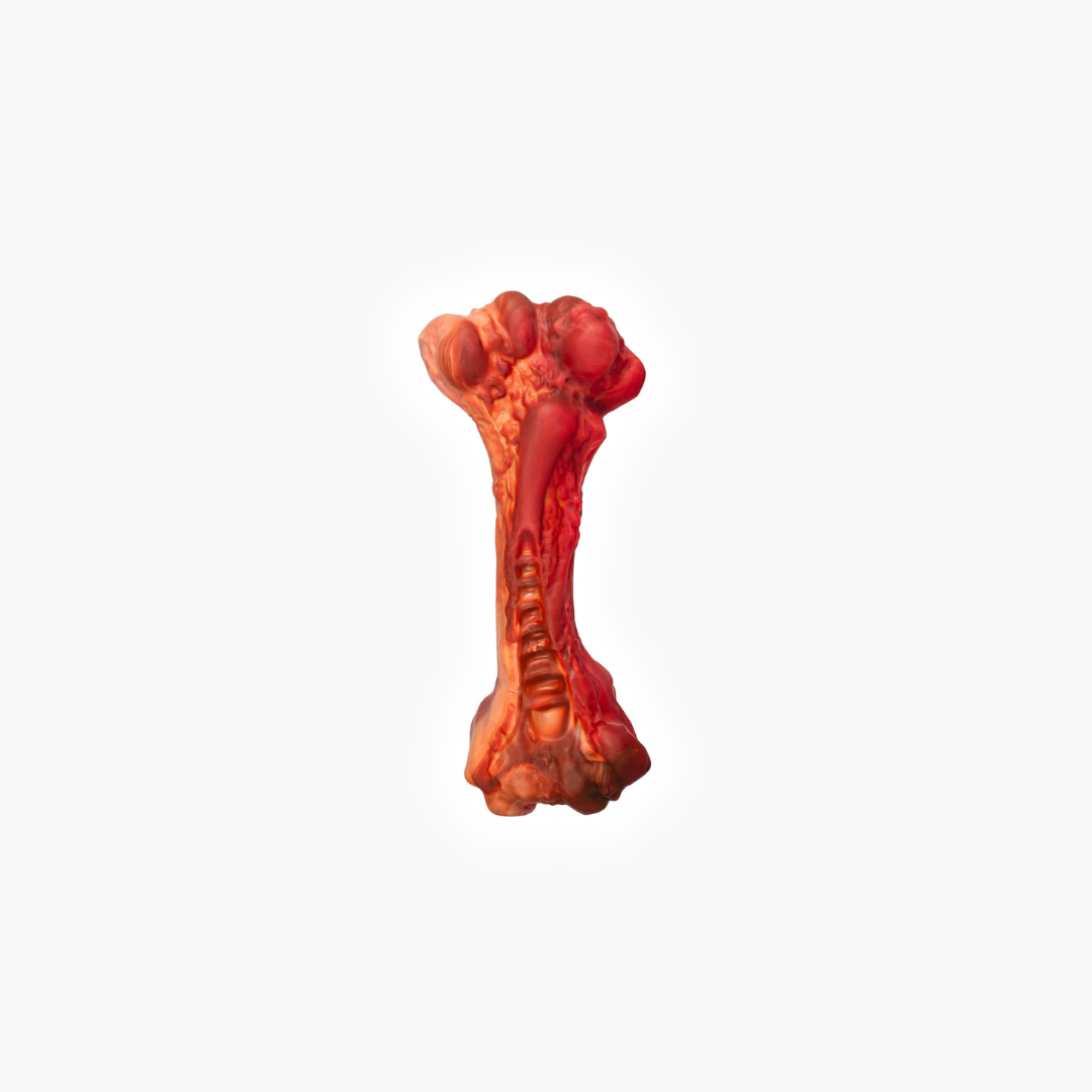 EZYDOG EzyBones Dog Chew Toy