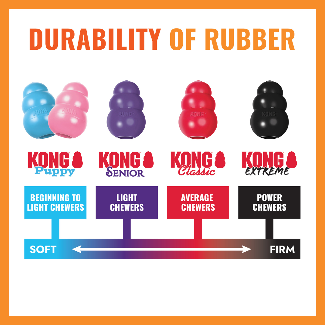 KONG Aqua Dog Toy