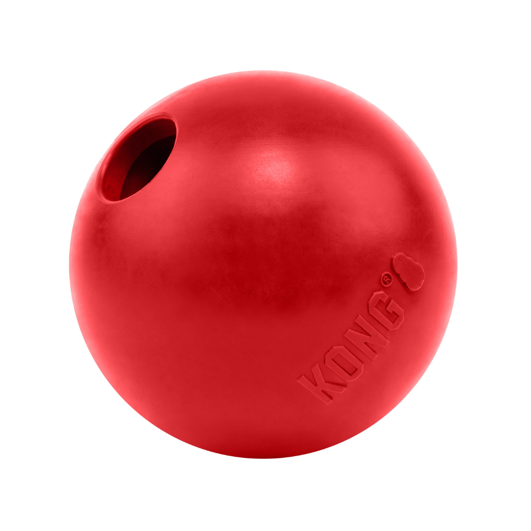KONG Ball Dog Toy