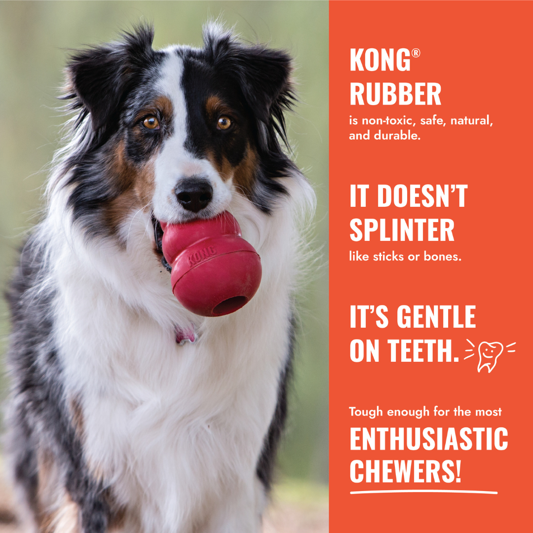 KONG Aqua Dog Toy