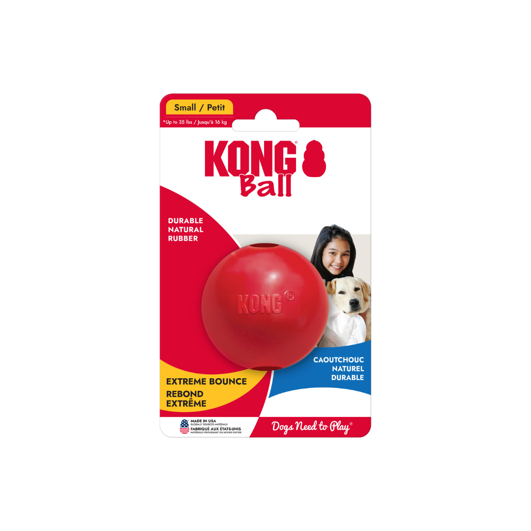 KONG Ball Dog Toy