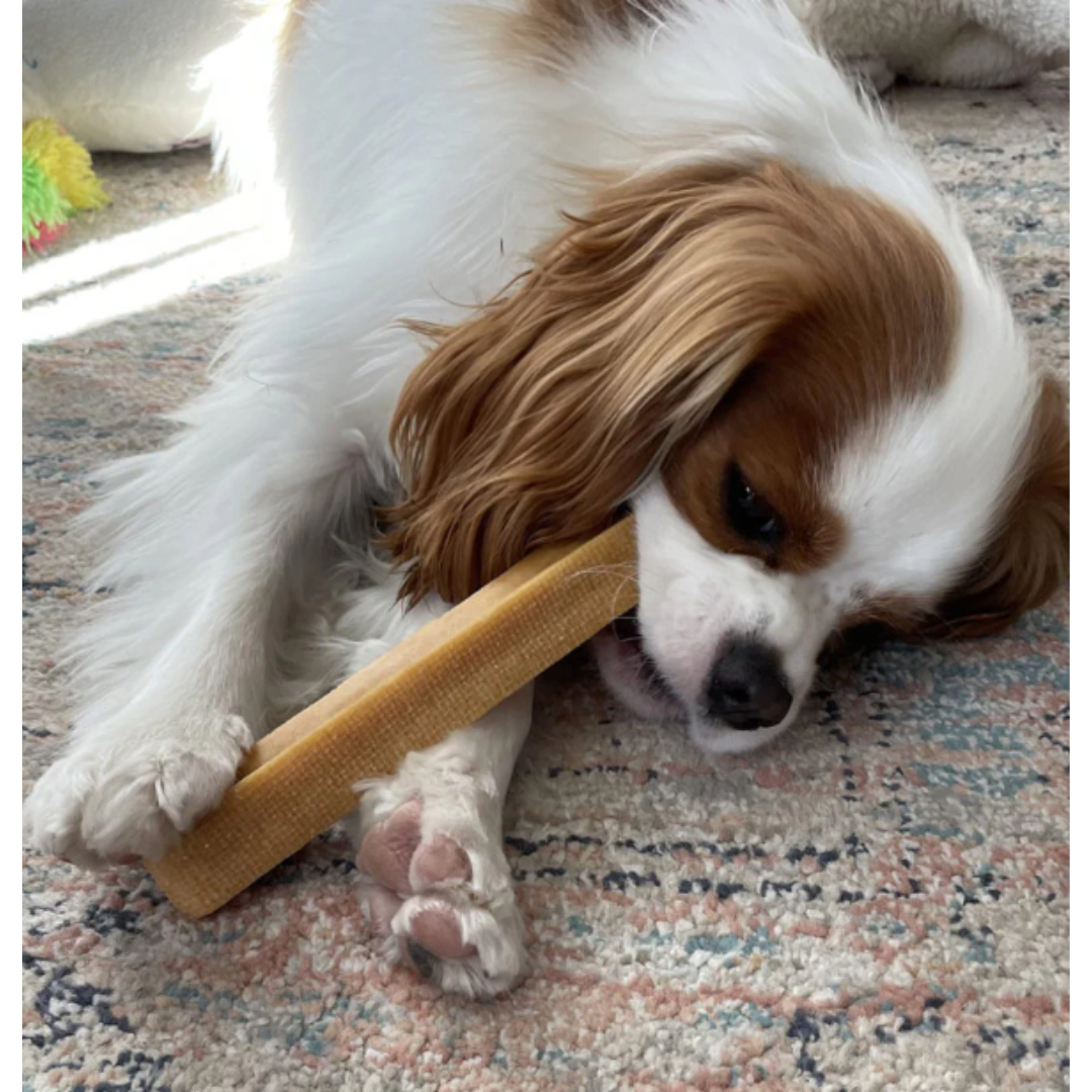 KUKUJE Churpi Himalayan Dog Chew – Natural & Long-Lasting
