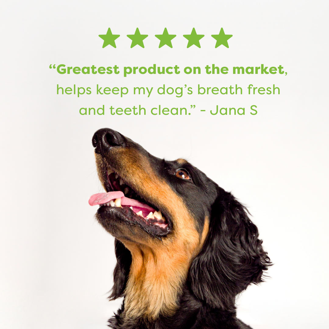 Bell & Bone Adult Dental Sticks - Chicken, Mint and Seaweed