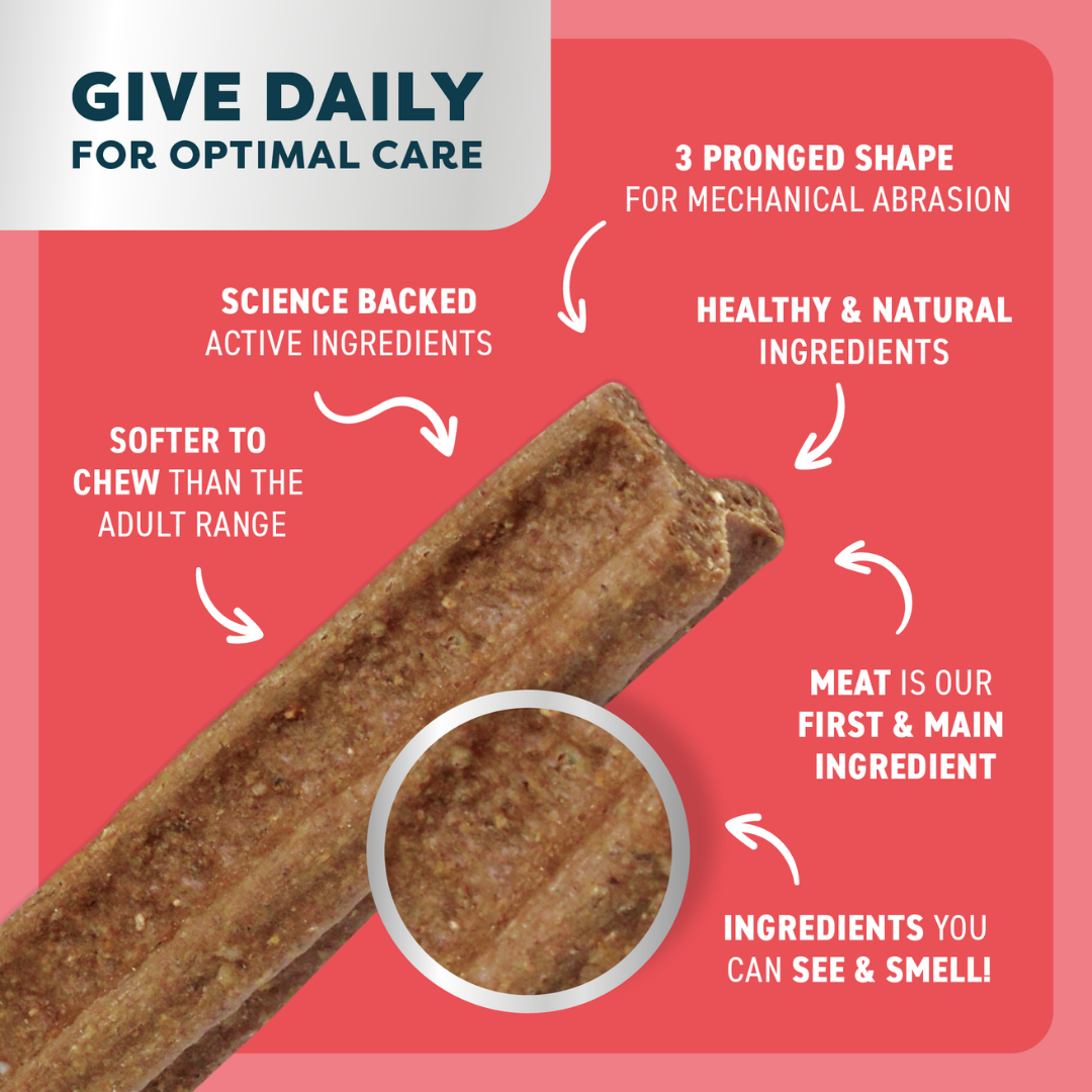 Bell & Bone Puppy Dental Chews - Beef and Coconut