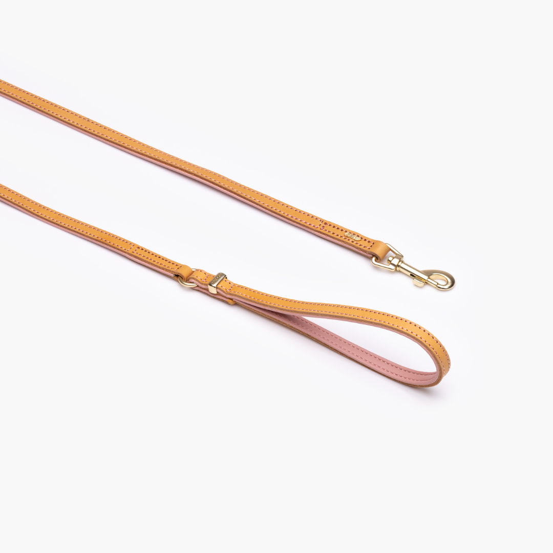EZYDOG Oxford Leather Dog Leash Lite