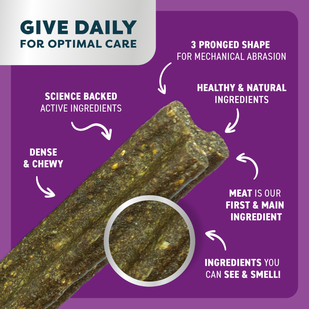 Bell & Bone Adult Dental Sticks - Kangaroo and Turmeric