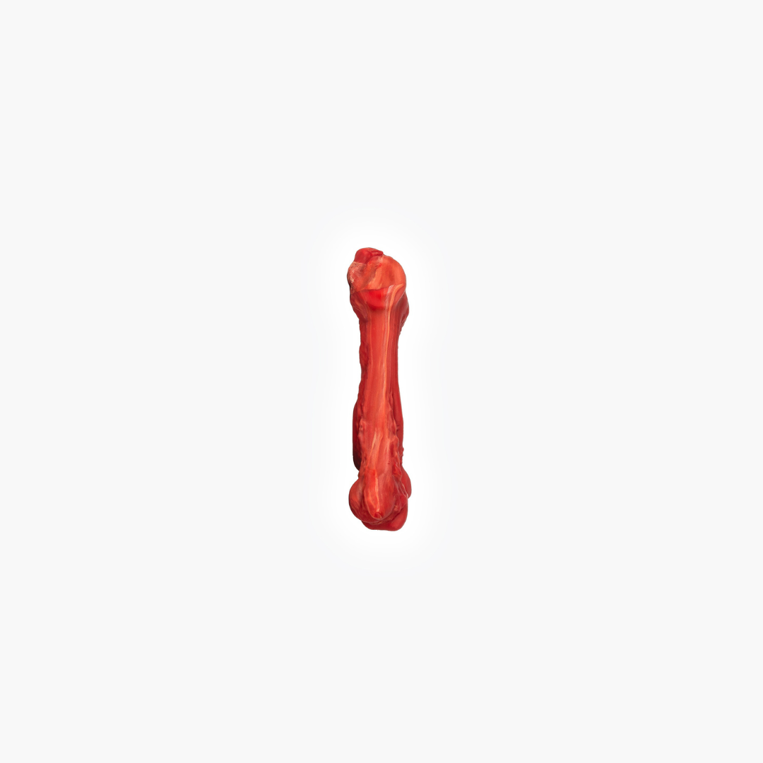 EZYDOG EzyBones Dog Chew Toy