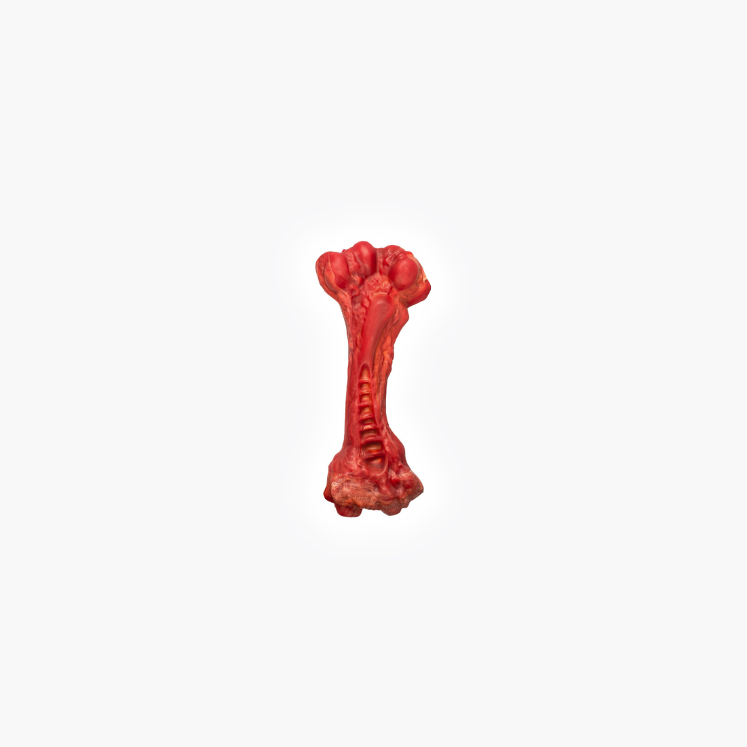 EZYDOG EzyBones Dog Chew Toy