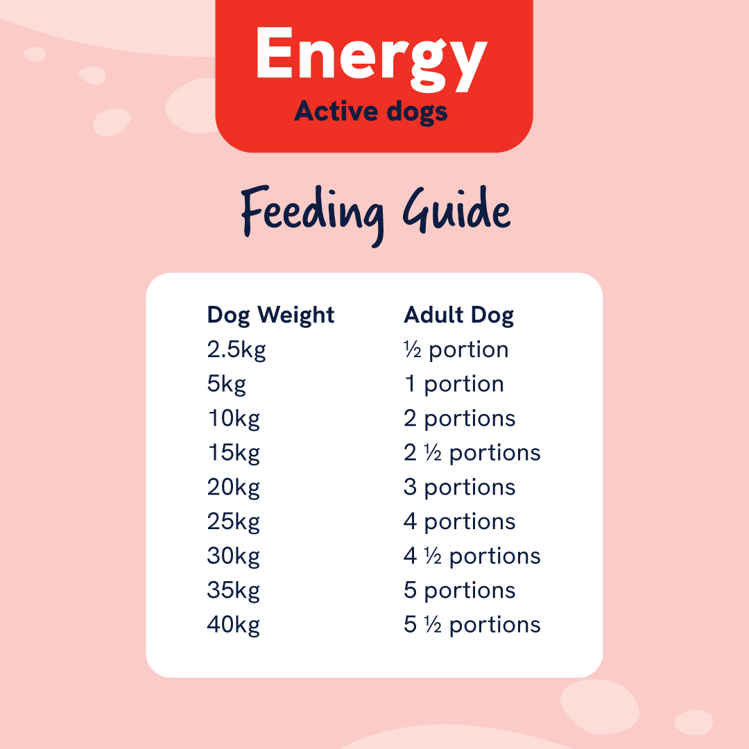 Leading RAW High Energy Dog Food