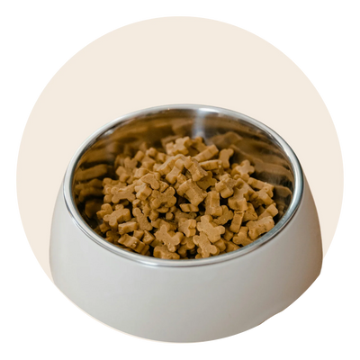 NUTRITIOUS DRY FOOD