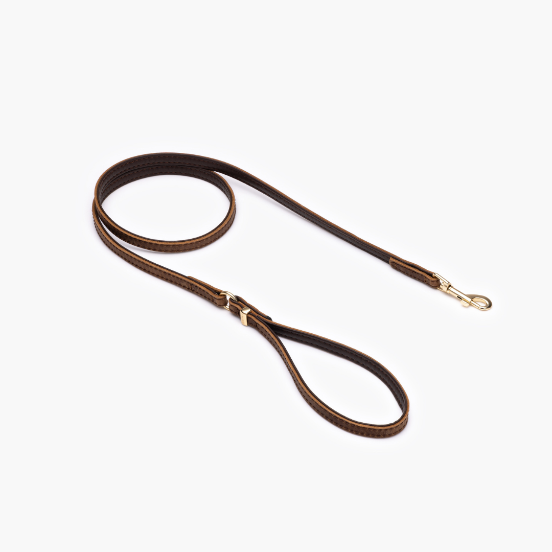 EZYDOG Oxford Leather Dog Leash Lite