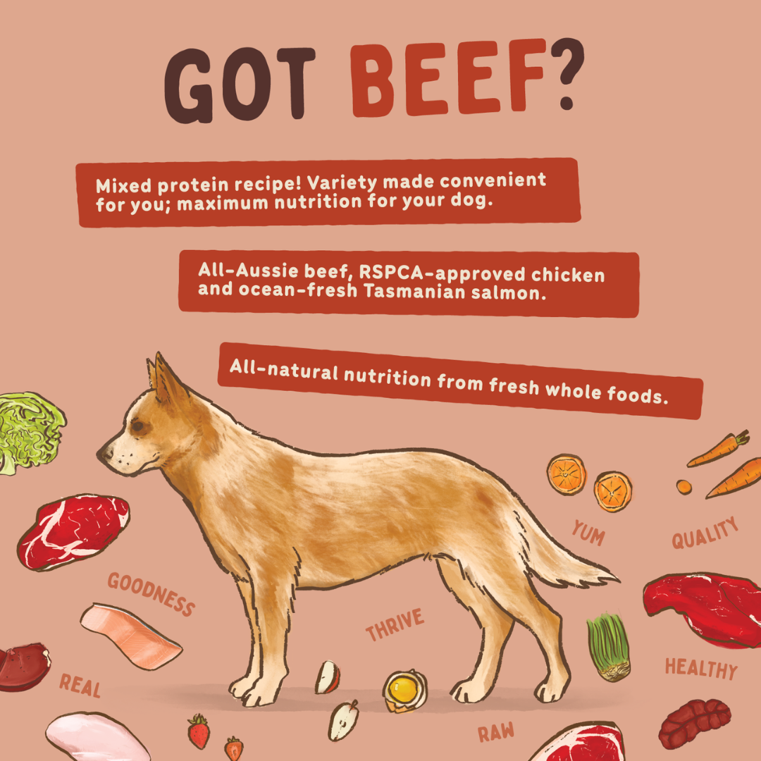 BIGDOG Beef Raw Dog Food