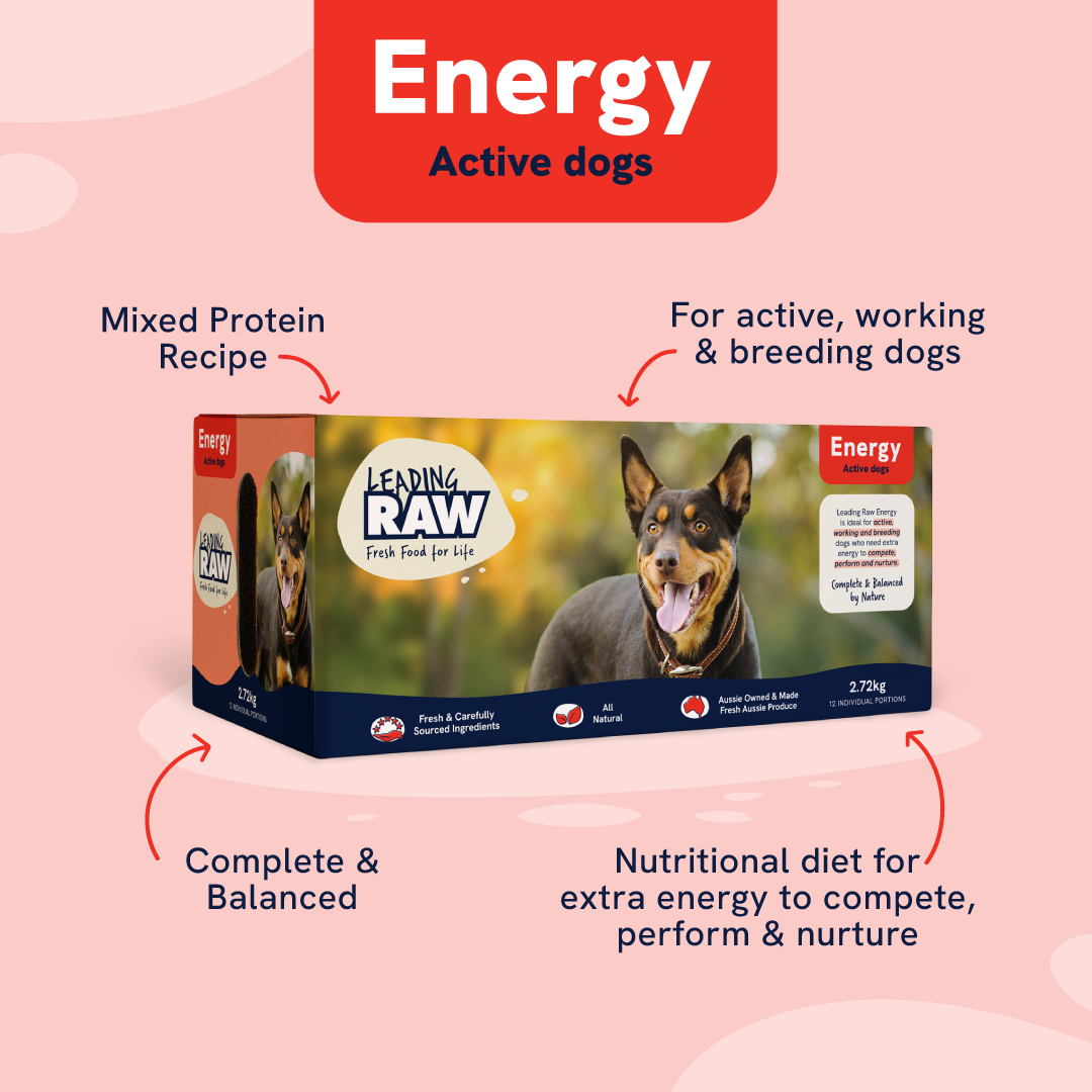 Leading RAW High Energy Dog Food