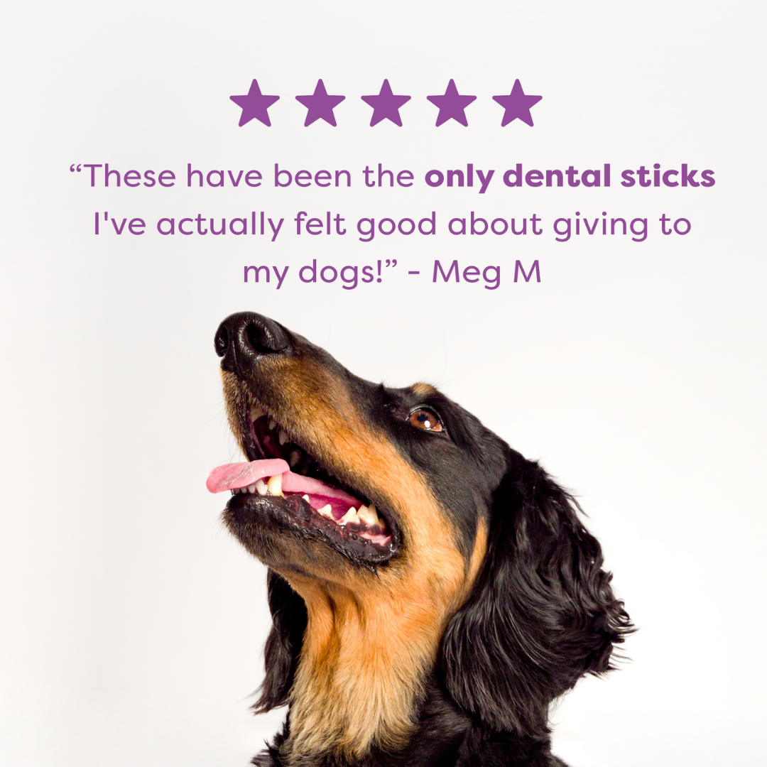 Bell & Bone Adult Dental Sticks - Kangaroo and Turmeric