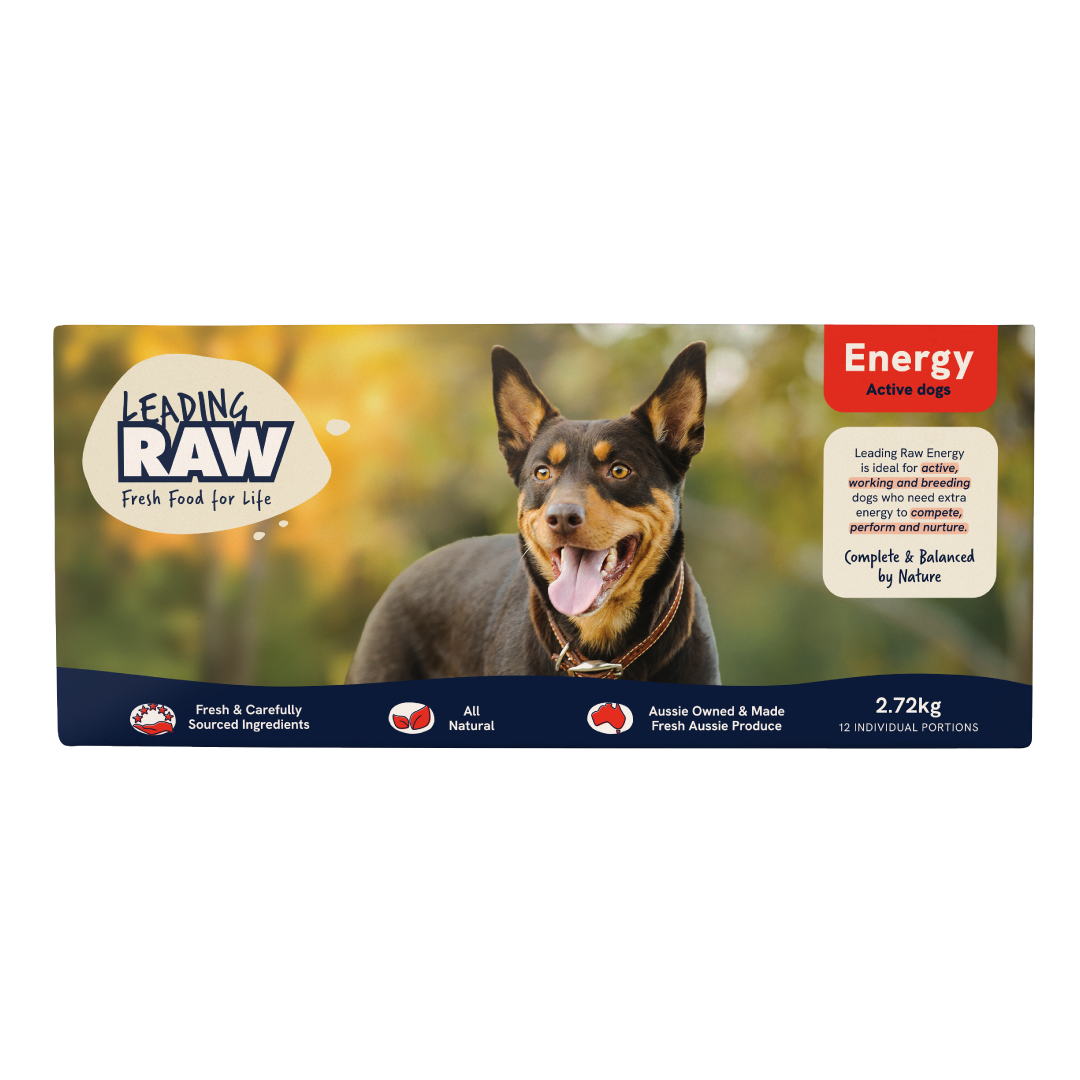 Leading RAW High Energy Dog Food