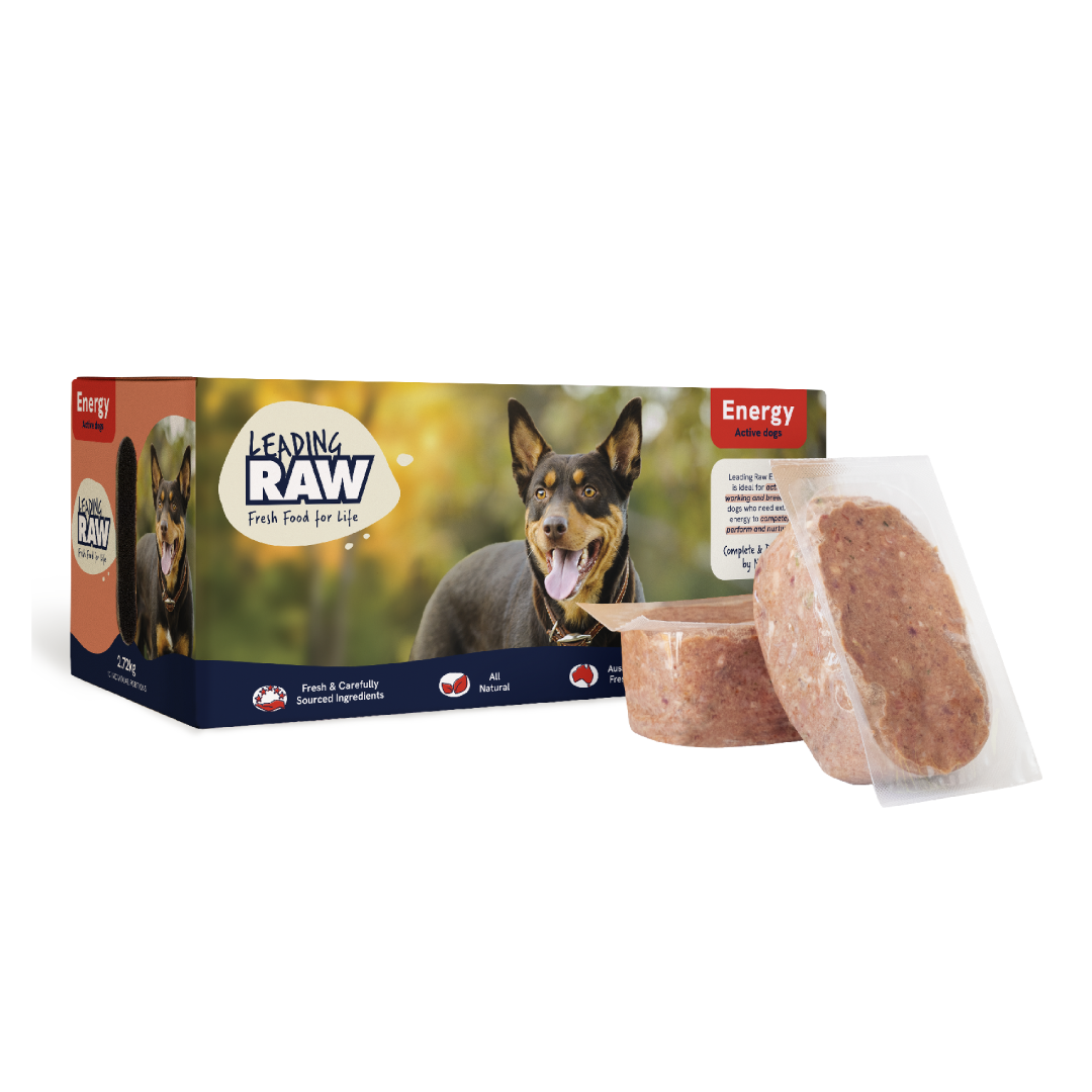 Leading RAW High Energy Dog Food