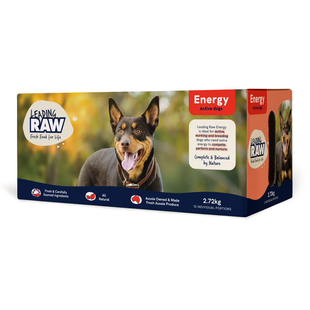 Leading RAW High Energy Dog Food