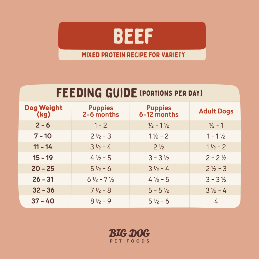 BIGDOG Beef Raw Dog Food