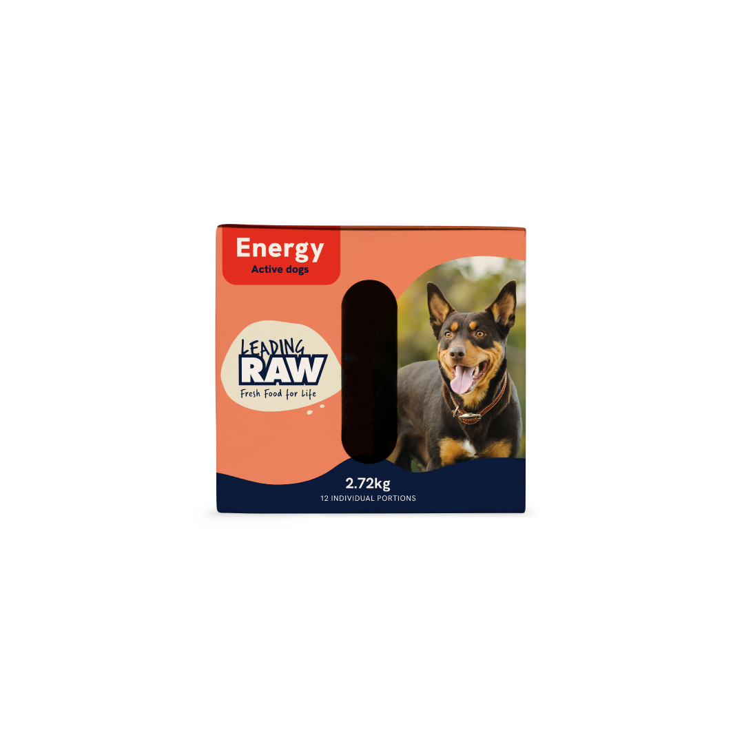 Leading RAW High Energy Dog Food