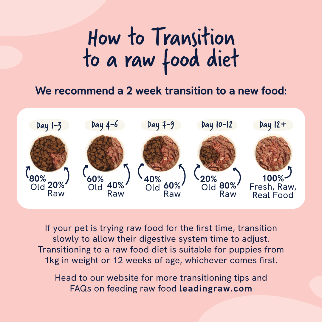Leading RAW High Energy Dog Food