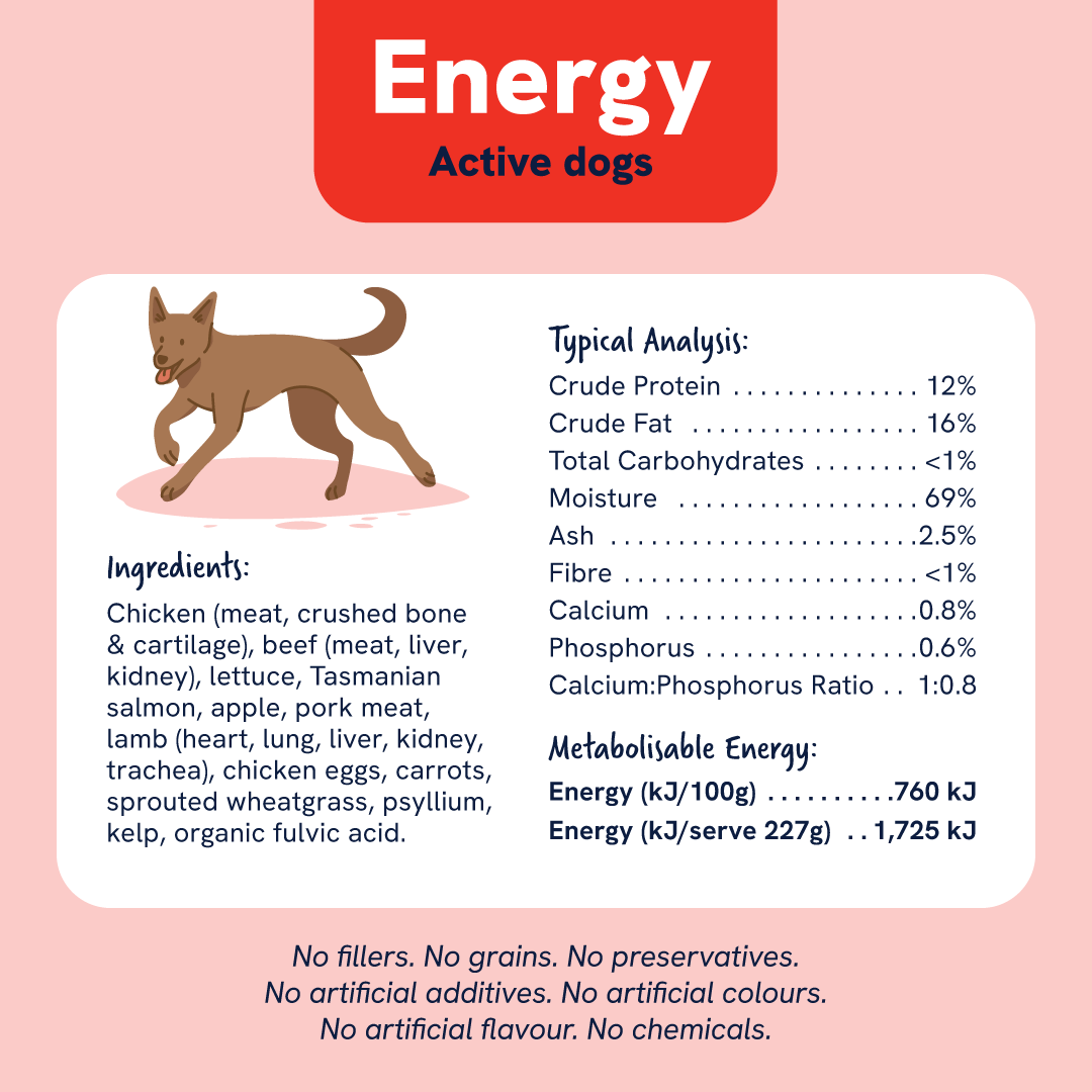 Leading RAW High Energy Dog Food
