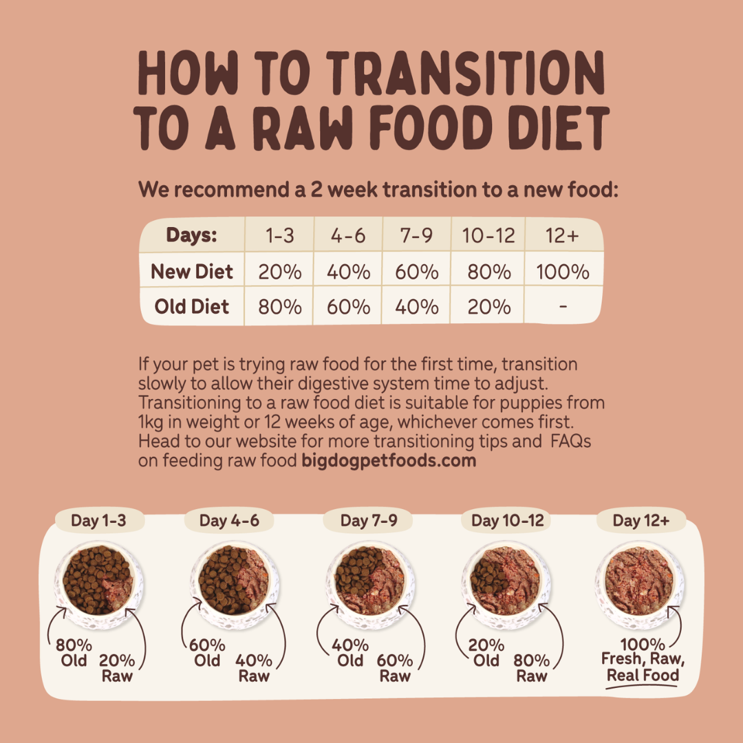 BIGDOG Beef Raw Dog Food