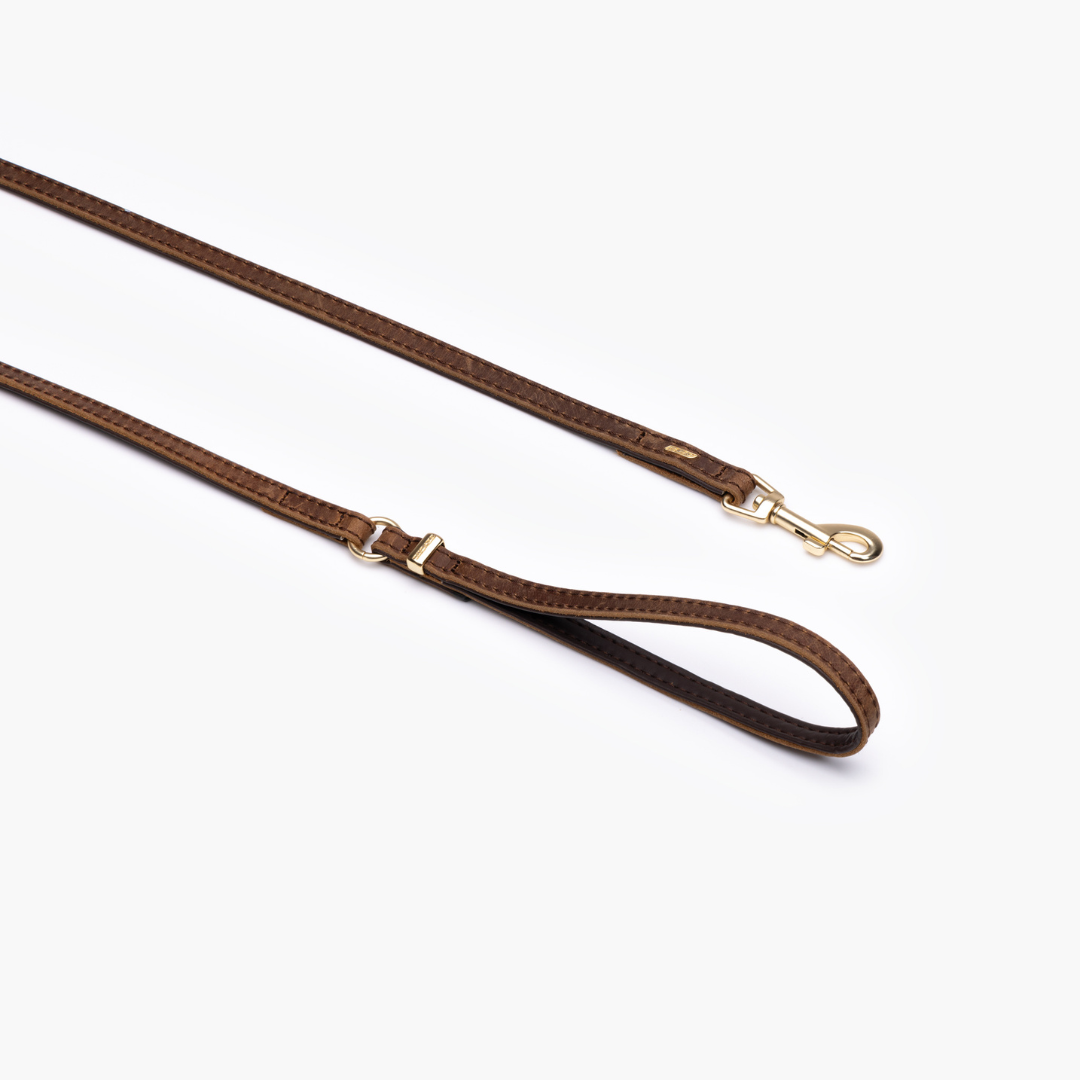 EZYDOG Oxford Leather Dog Leash Lite