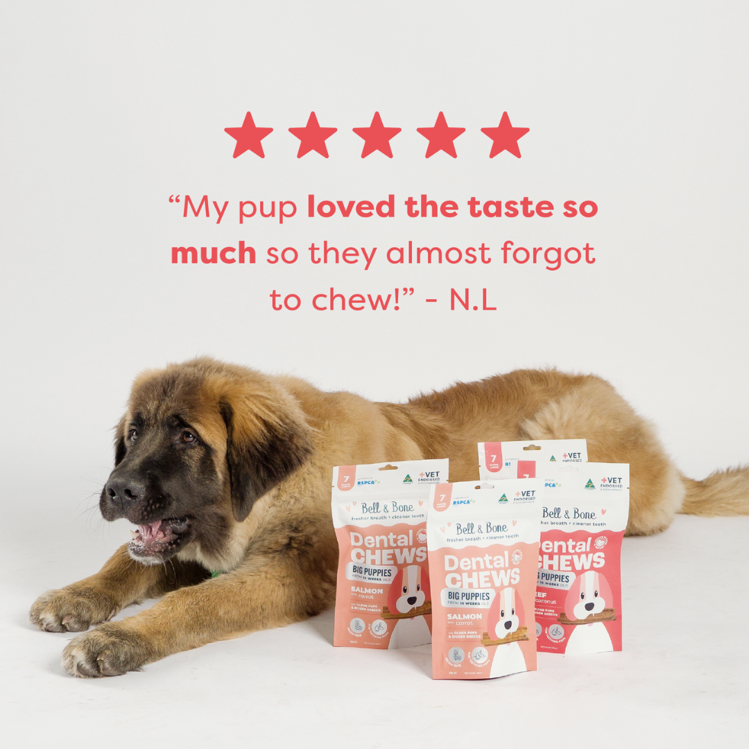 Bell & Bone Puppy Dental Chews - Beef and Coconut