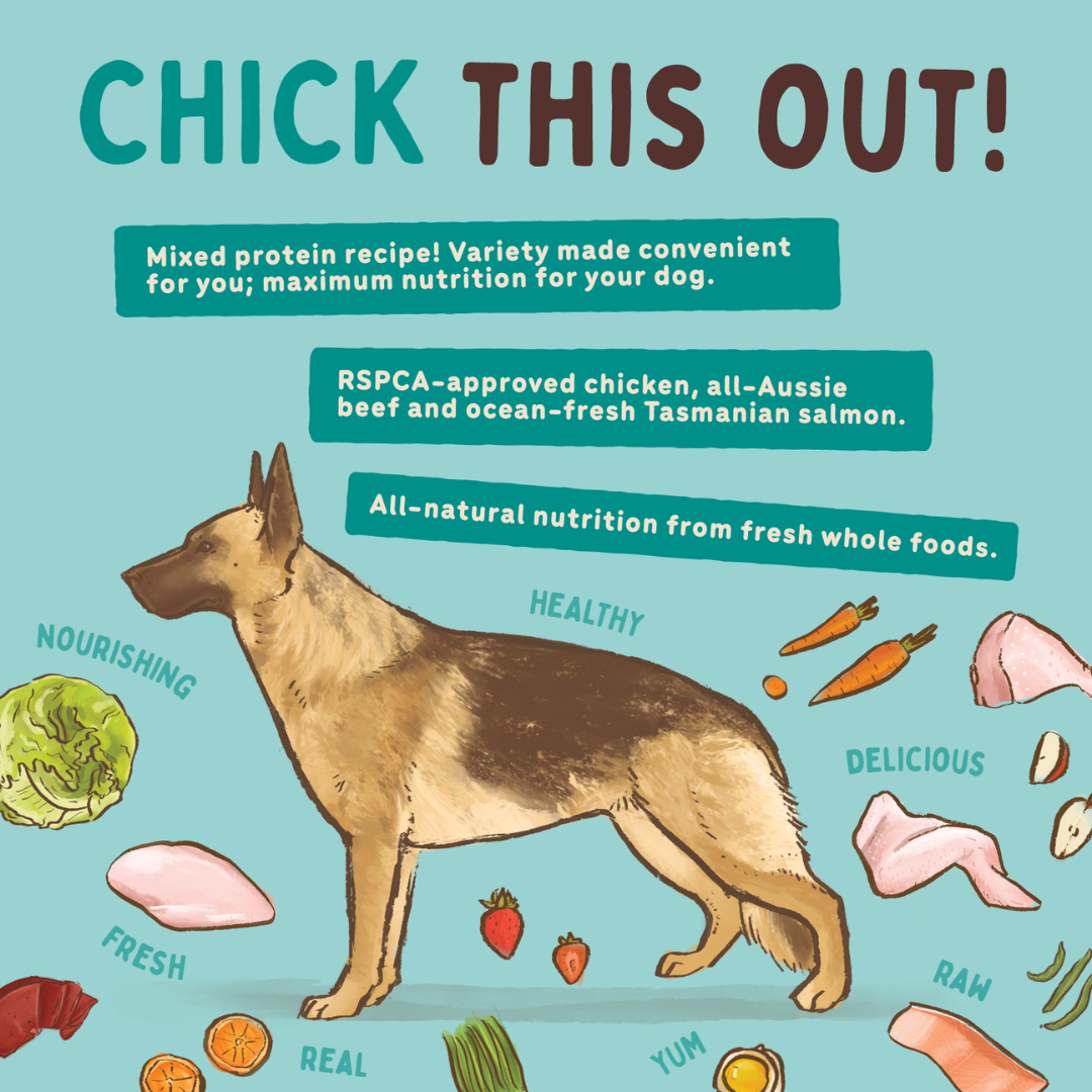 BIGDOG Chicken Raw Dog Food