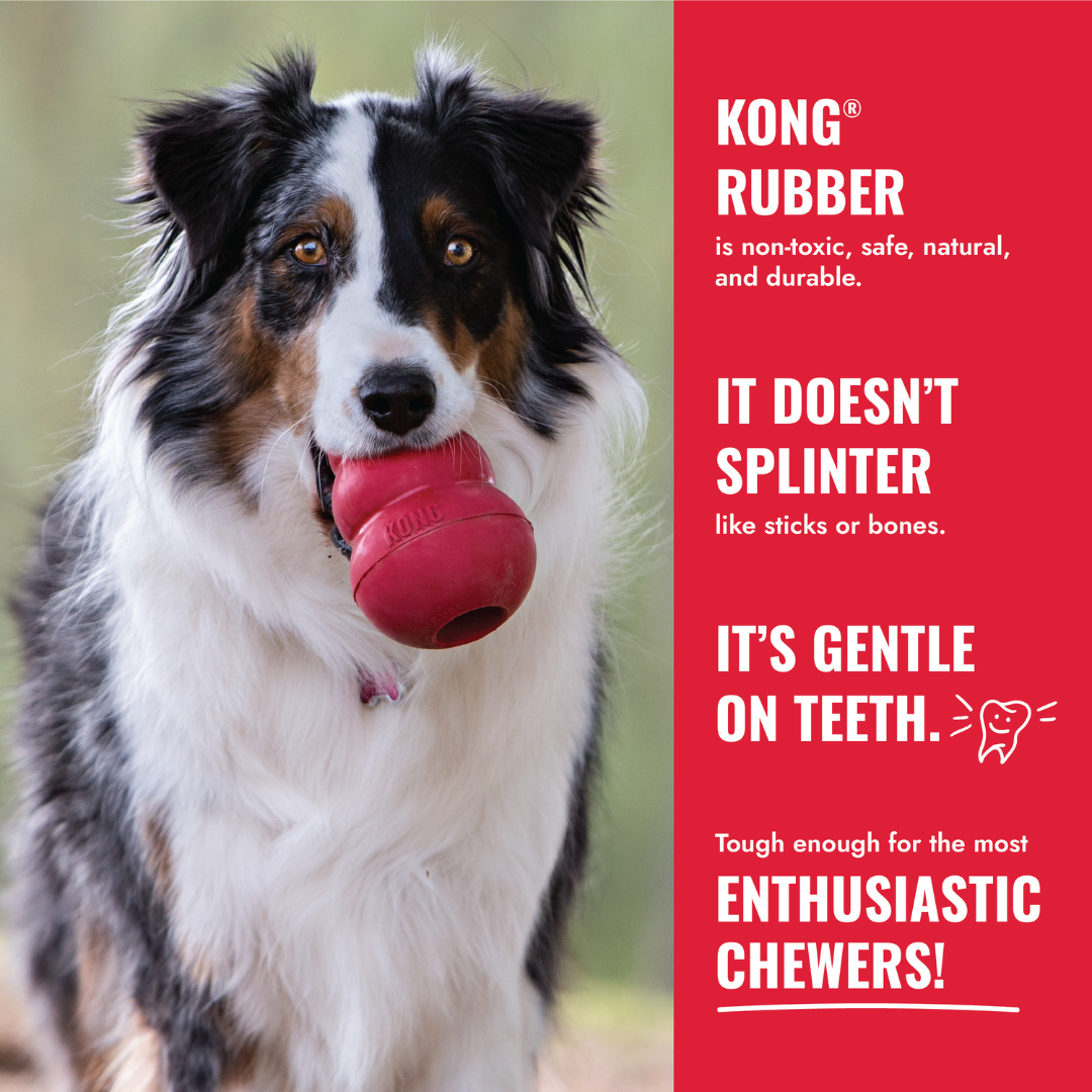 KONG Goodie Bone Dog Toy