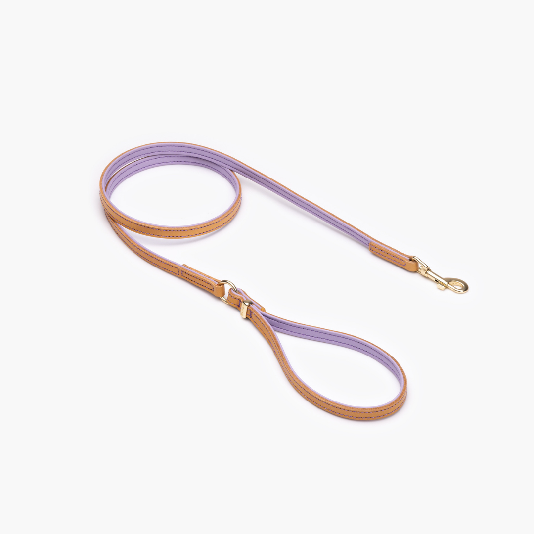 EZYDOG Oxford Leather Dog Leash Lite