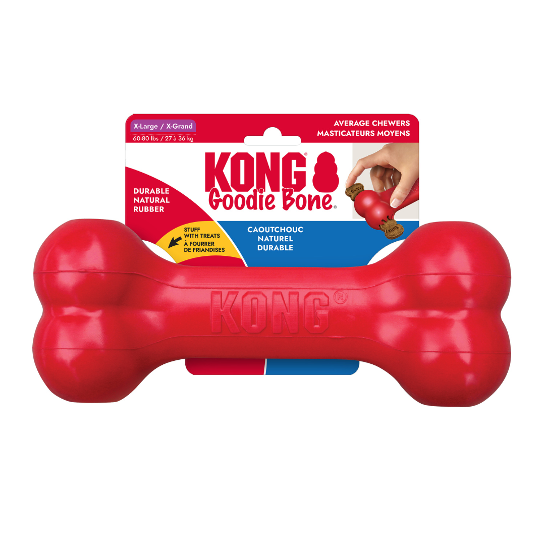 KONG Goodie Bone Dog Toy