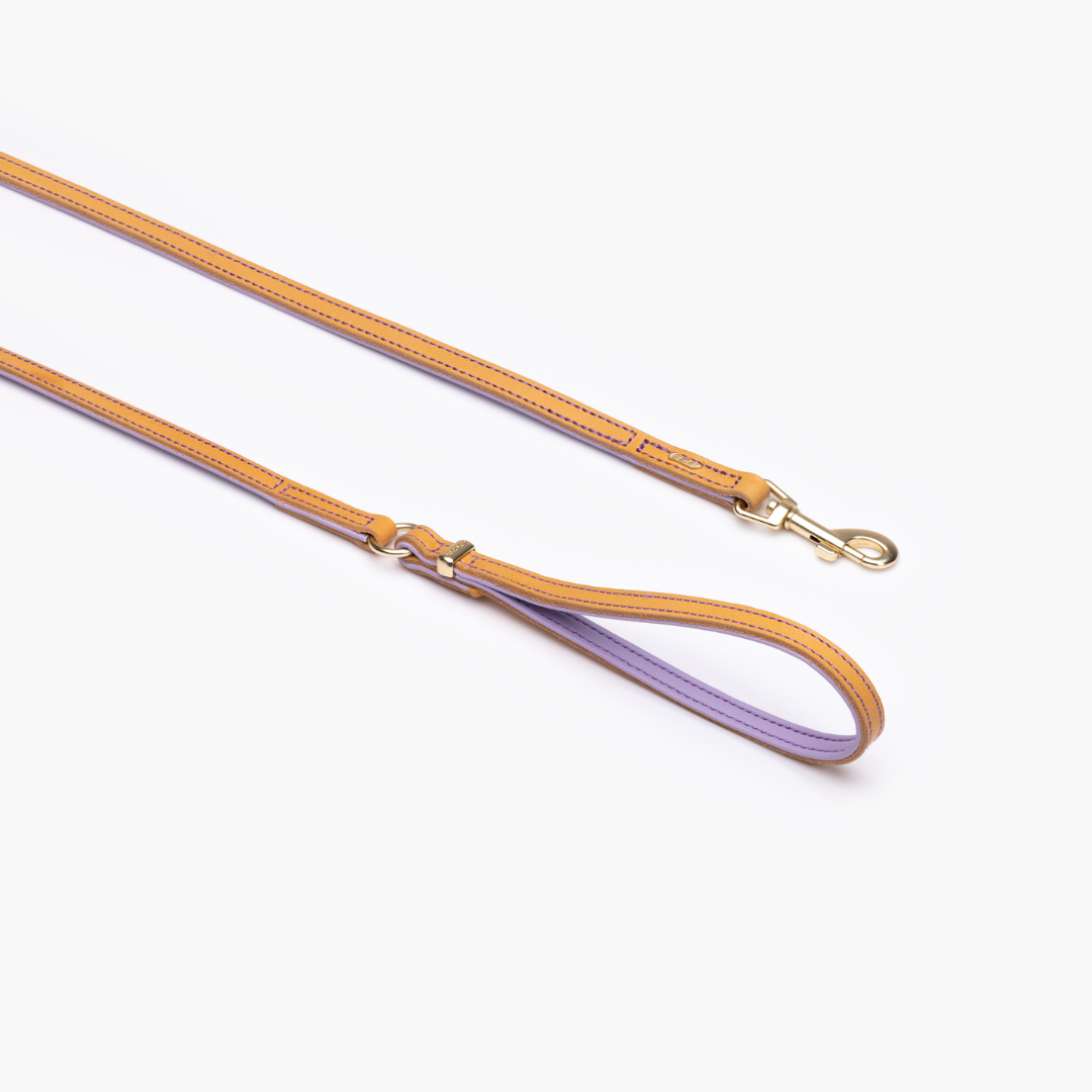EZYDOG Oxford Leather Dog Leash Lite