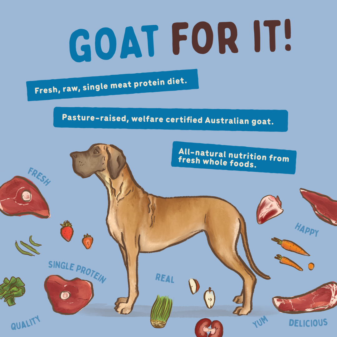 BIGDOG Goat Raw Dog Food